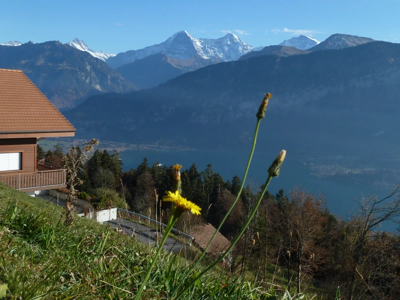 View to Eiger, Monch and Jungfrau